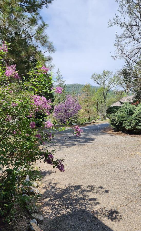 Yosemite Mountain Retreat Villa Oakhurst Exterior foto